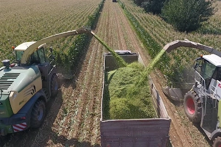 1.500 Ton Mısır Silajı İhalesi 27 Mart’ta!