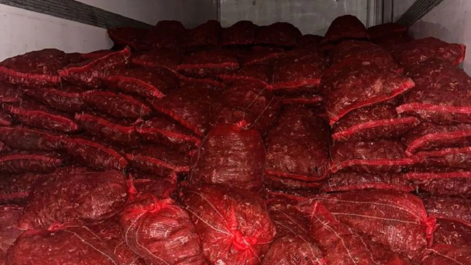 10 Ton Kaçak Midye Operasyonla Ele Geçirildi!