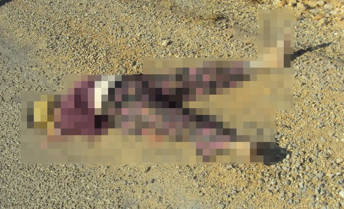 2 çocuk annesi kadın cinayete kurban gitmişti! Sır perdesi 15 yıl sonra çözüldü 2