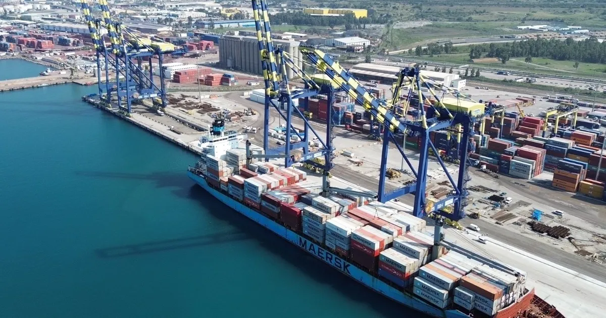 2024 Dış Ticaret Verileri: Girişimlerin Profili Açıklandı
