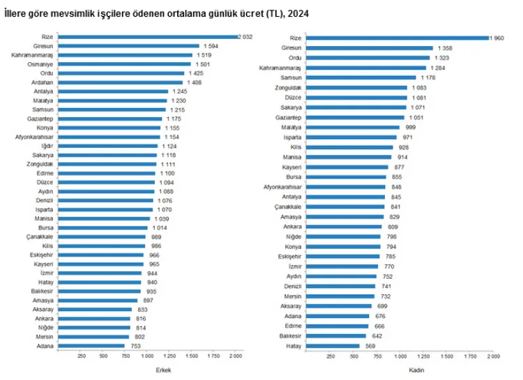 Tarımsal işletmelerde işçi ücretleri