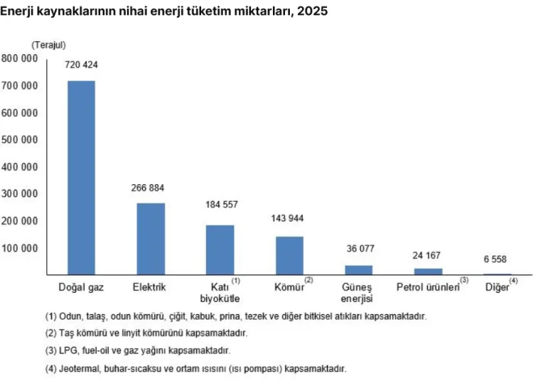 2025 Enerji Tüketiminde Doğal Gaz Zirvede!