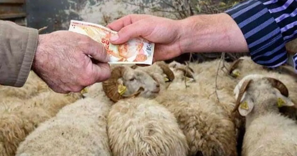 2026 Kurban Hizmetleri Tebliği Resmi Oldu!