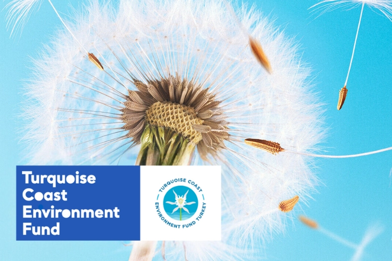 2026 TCEF Hibe Programı Başvuruları Başladı!