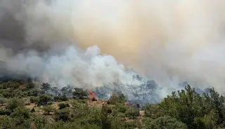 İzmir'de maki, Bursa'da orman yangını! Çok sayıda ekip seferber oldu
