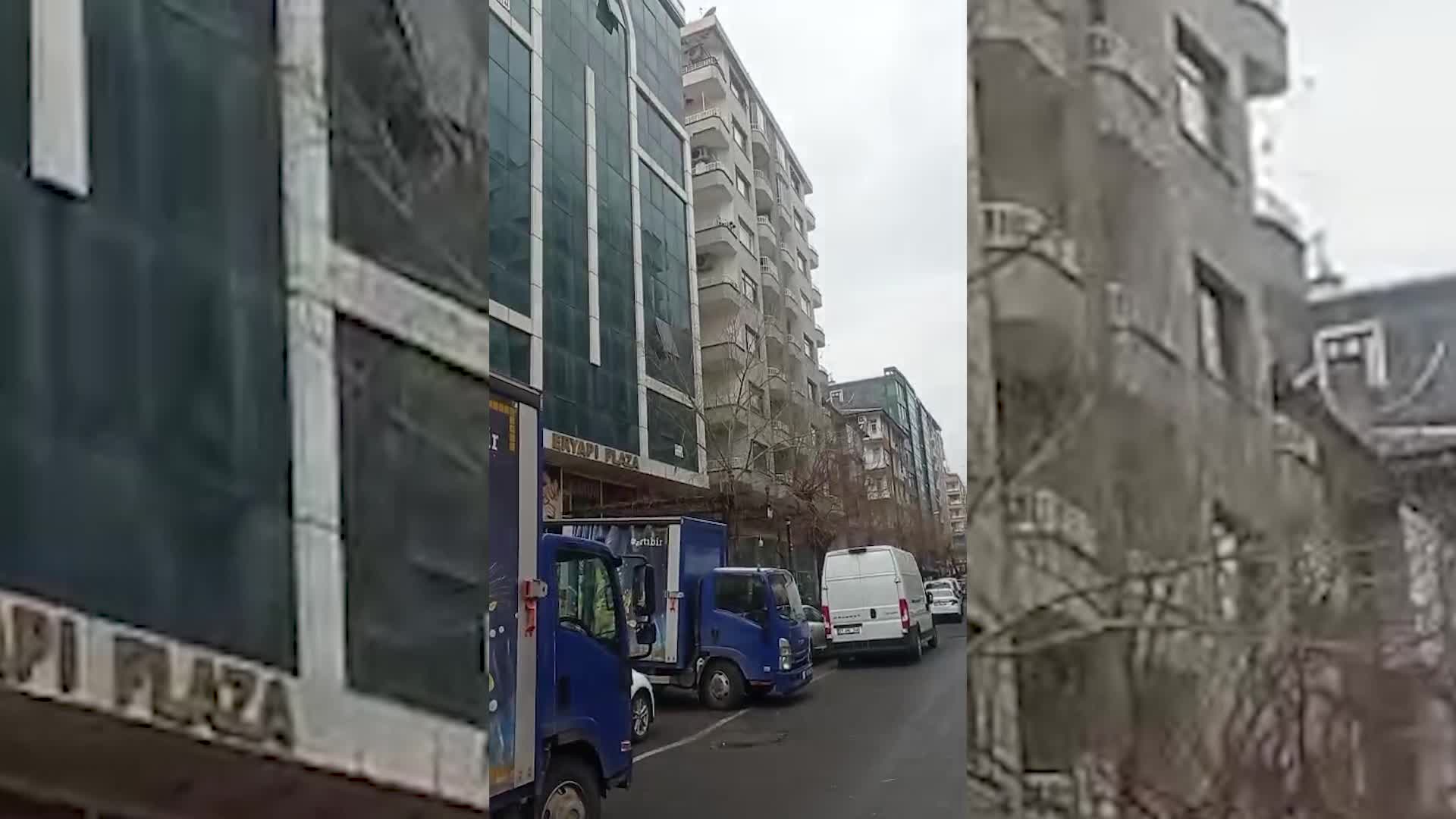40 Yıllık Ağaç Kesildi, Tepkiler Çığ Gibi Büyüdü