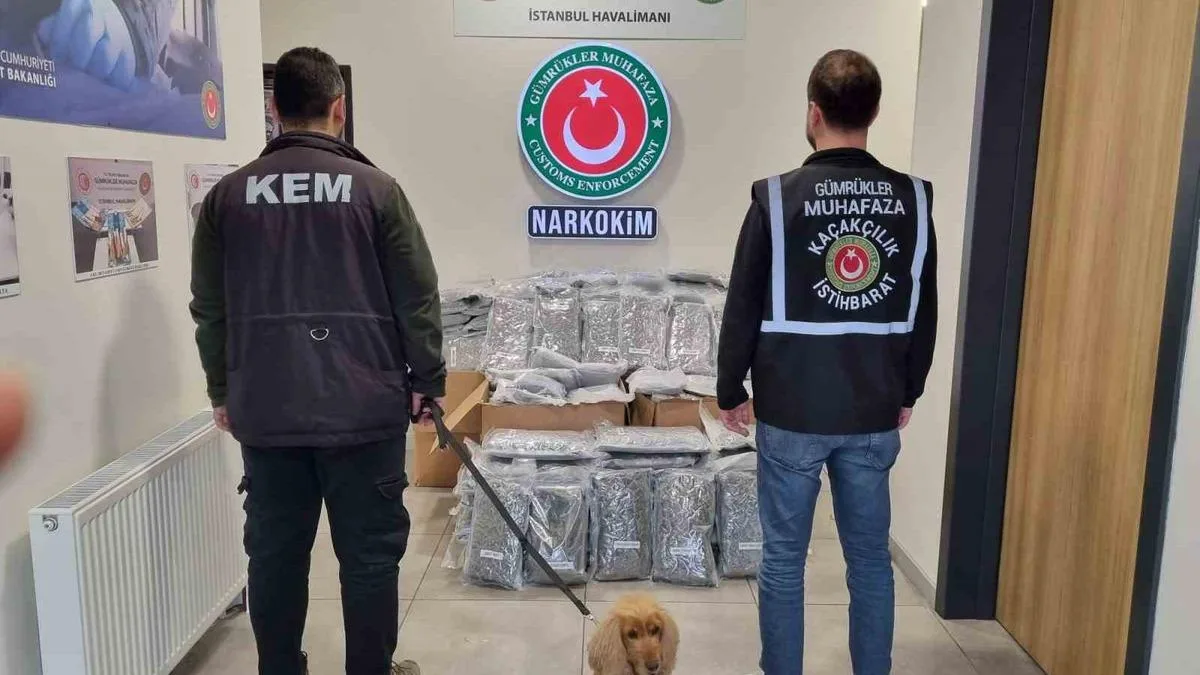 420 Kilo Esrar Ele Geçirildi: İki Operasyon