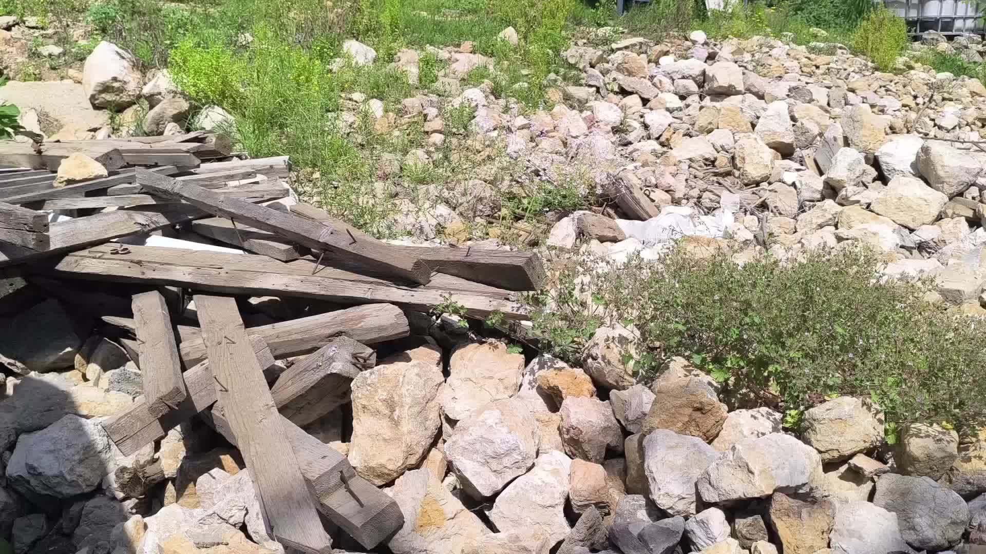 86 Yaşındaki Depremzede: Sokaklarda mı Kalacağım?