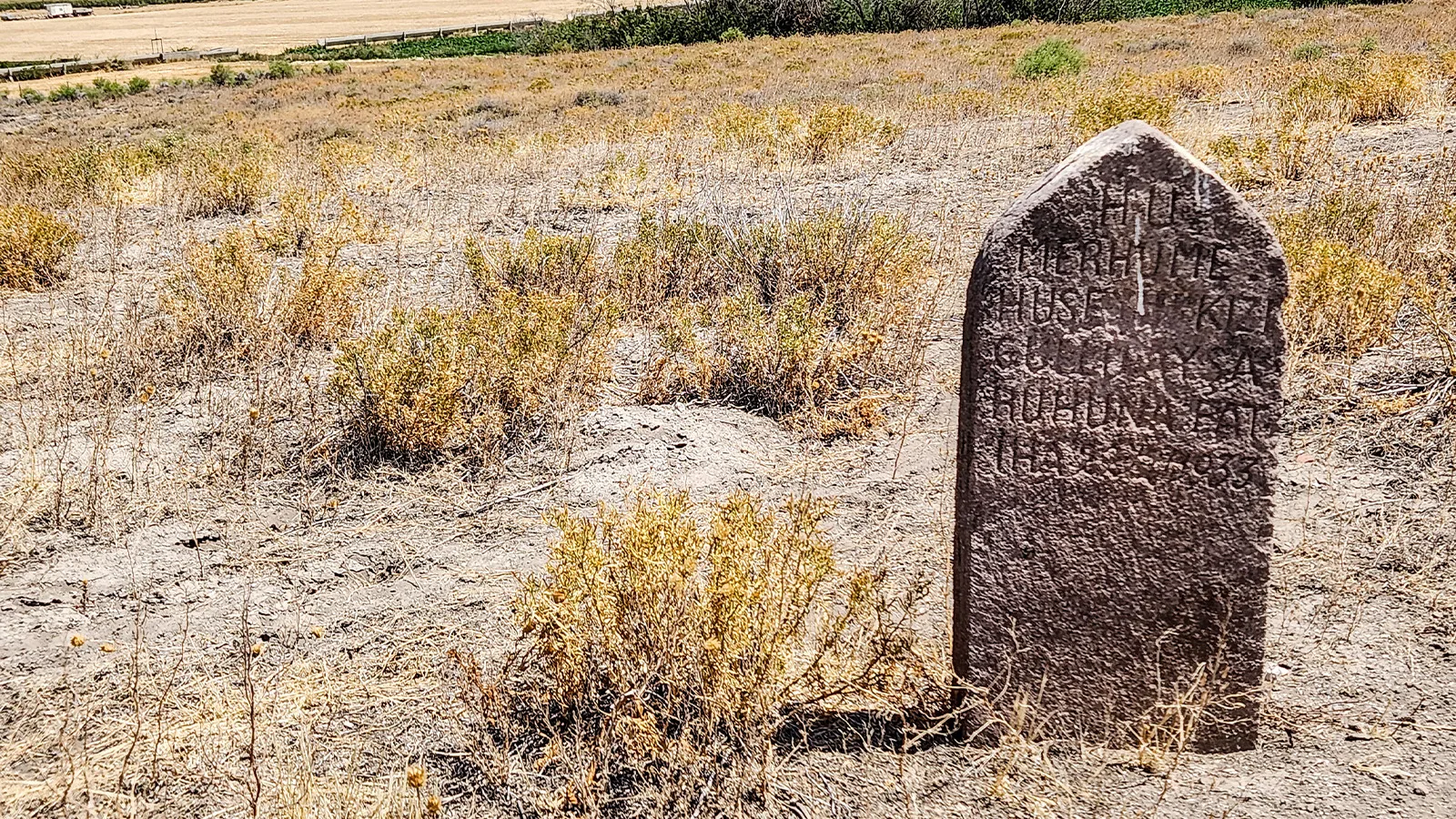 9 Bin Yıllık Güllü Ayşa’nın Acı Hikayesi!