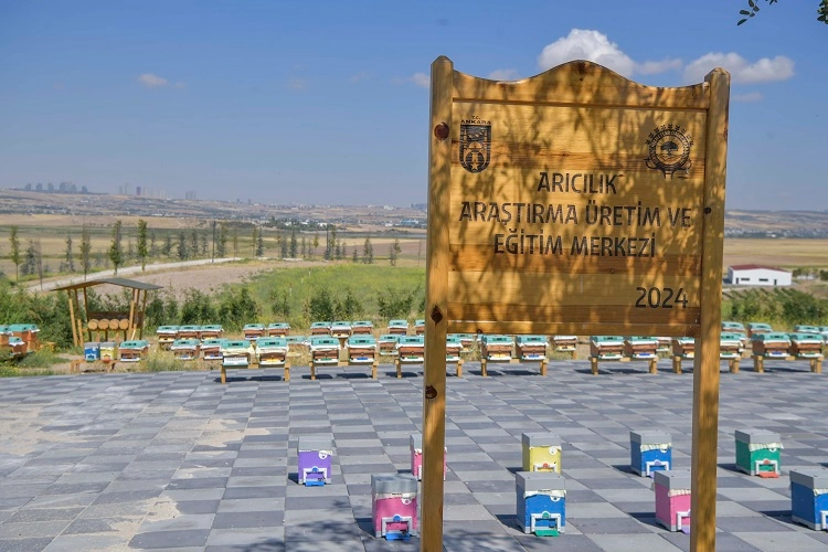 ABB’den Arıcılığa Bilimsel Destek Projesi!