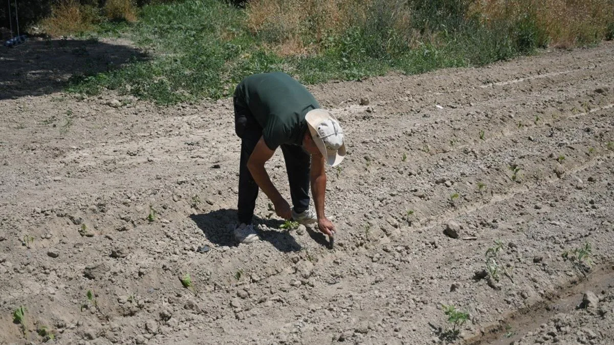 Adabahçe Projesi ile Yerel Üretim Canlanıyor!