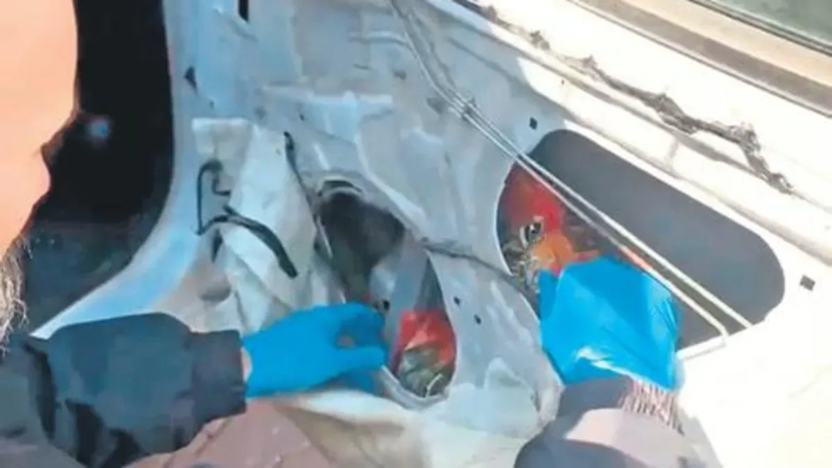 Adana’da 66 Bin Uyuşturucu Hap Ele Geçirildi!