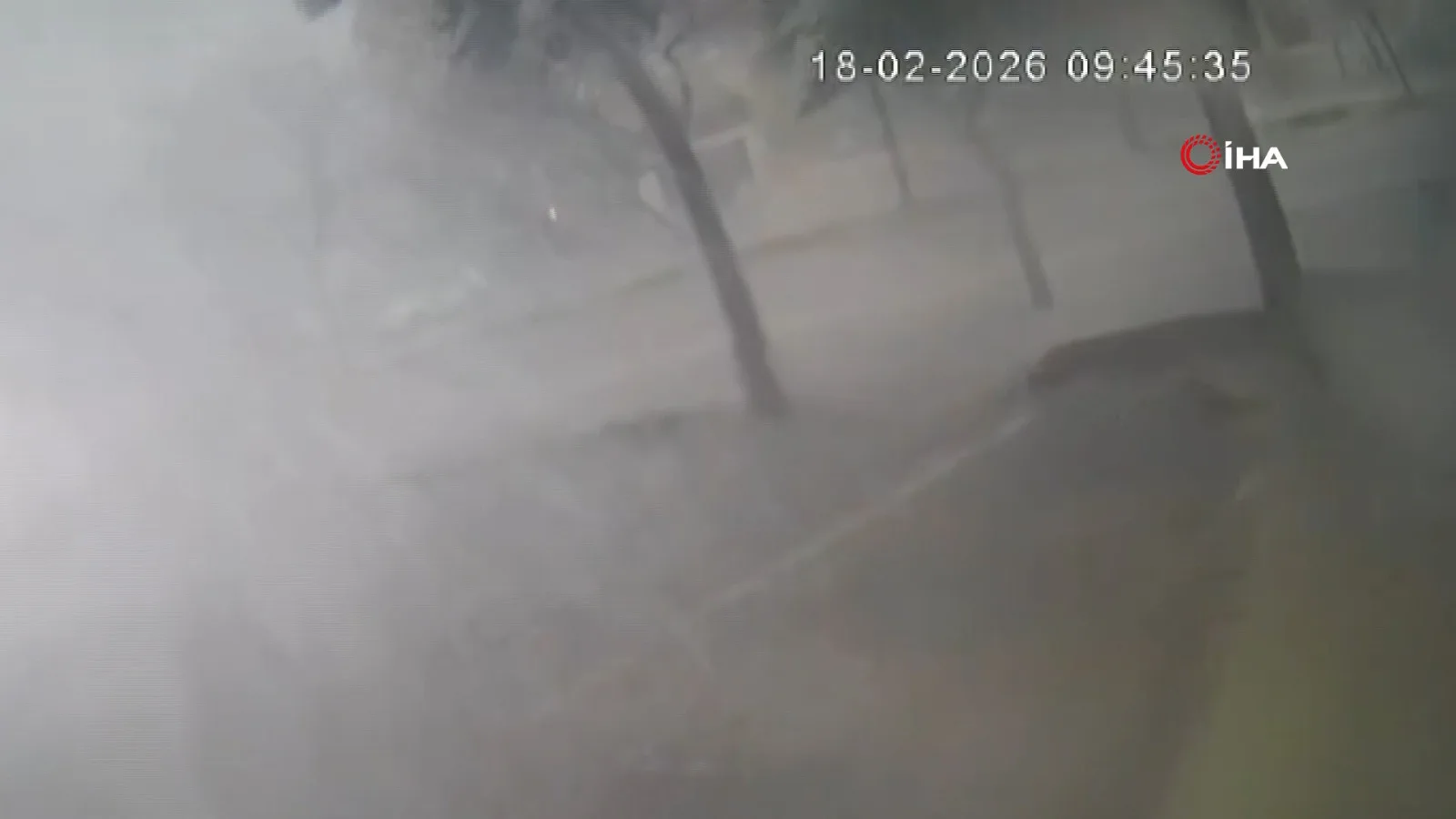 Adana’da Fırtına Ağaçları Kökünden Devirdi!