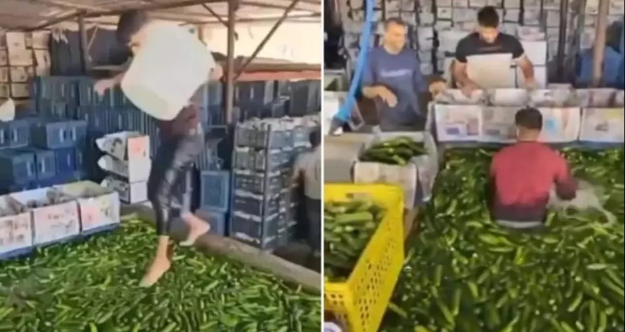 Adana’da Meyve Deposunda Şok Hijyen İhlali!