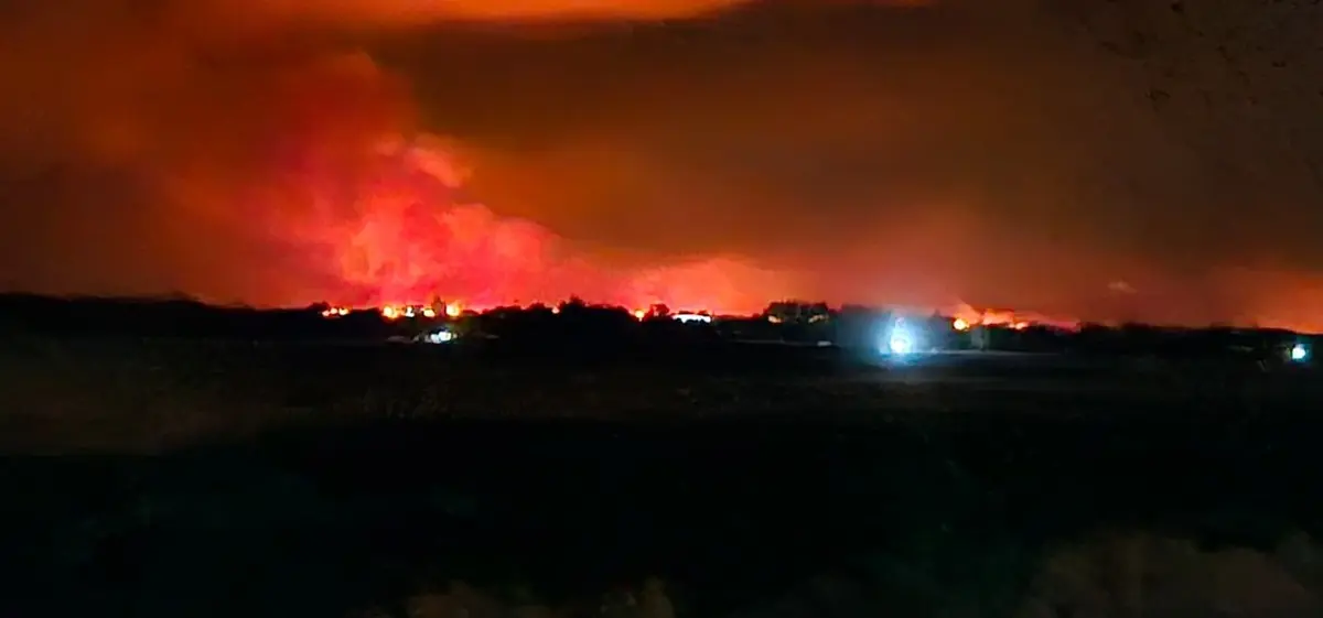 Adana da yangın iki ilçeye daha sıçradı! Köyler boşaltıldı 2