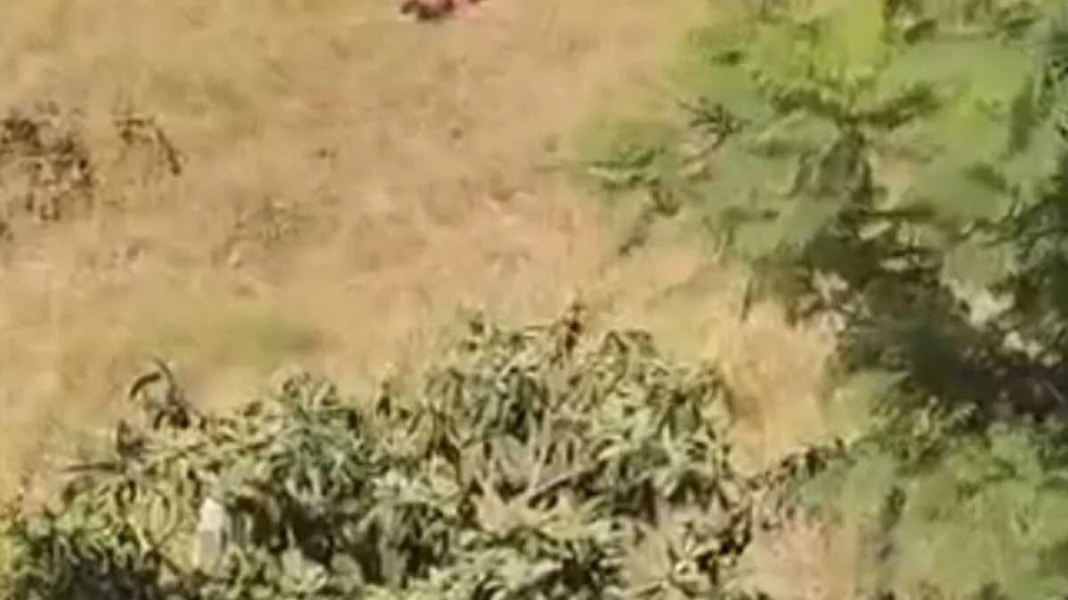 Adana’da Sulama Kanalında Şok Eden Baba Tepkisi!