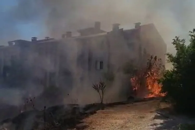 Adıyaman’da Meyve Ağaçları Yangında Küle Döndü!