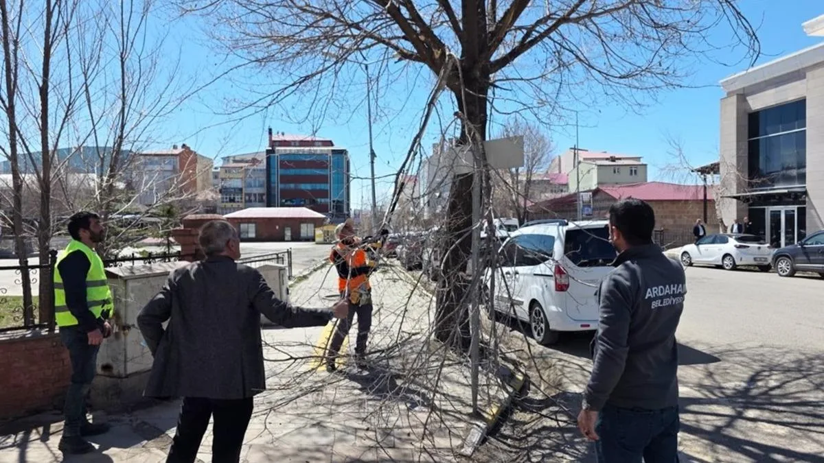 Ağaç Budama Çalışmalarıyla Güçlü Yeşil Alanlar