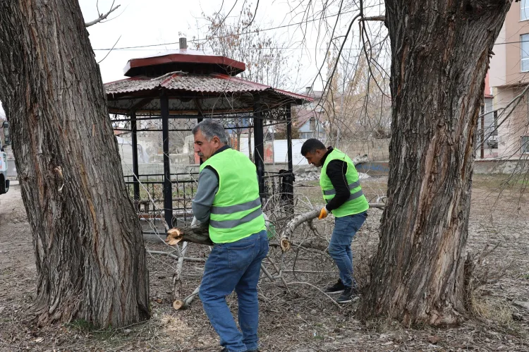 Ağrı’da Park ve Yeşil Alan Yenileme Çalışmaları