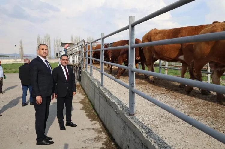 Ağrı Valisi Et Kombinasında Üretim Süreçlerini İnceledi