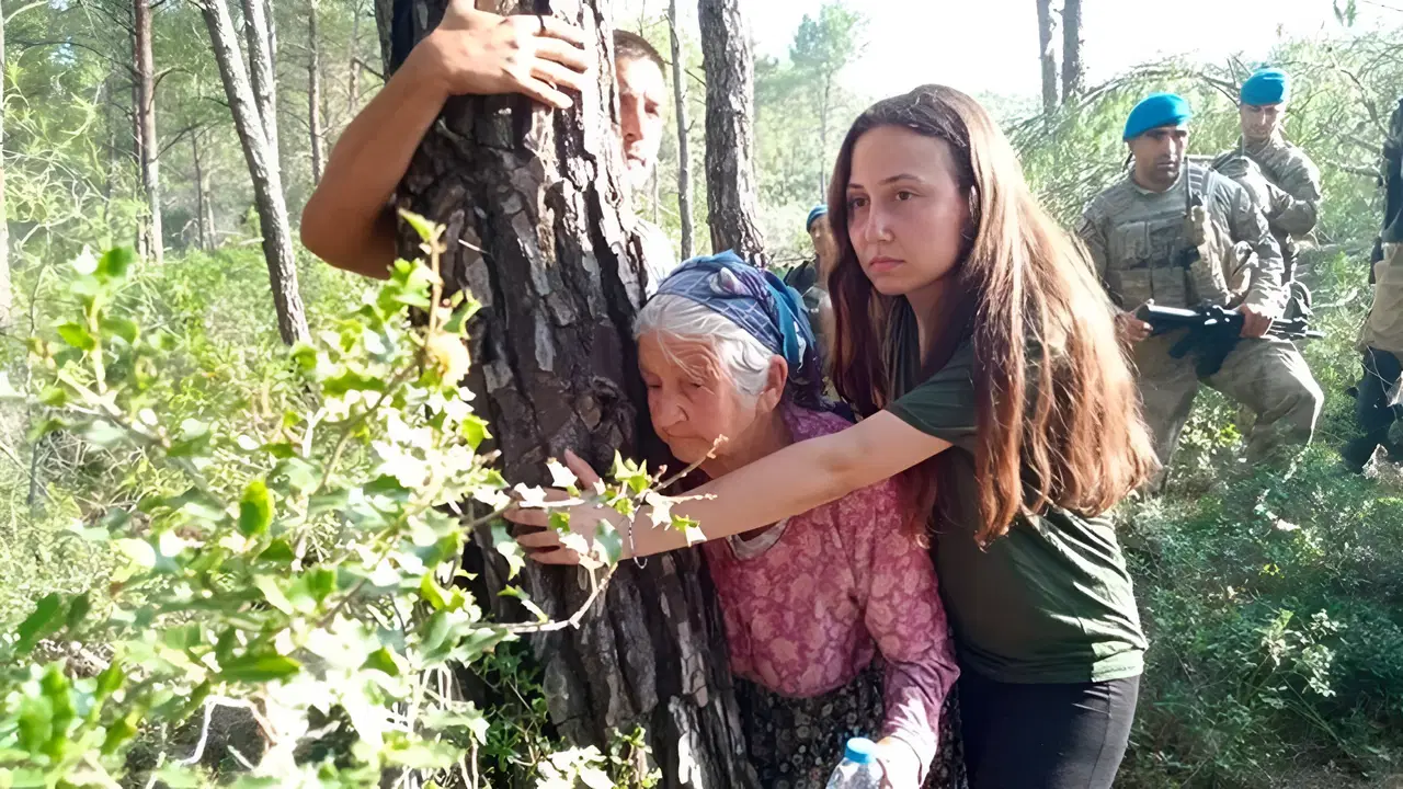 Akbelen Ormanı’nda Kamulaştırma Krizi Sürüyor