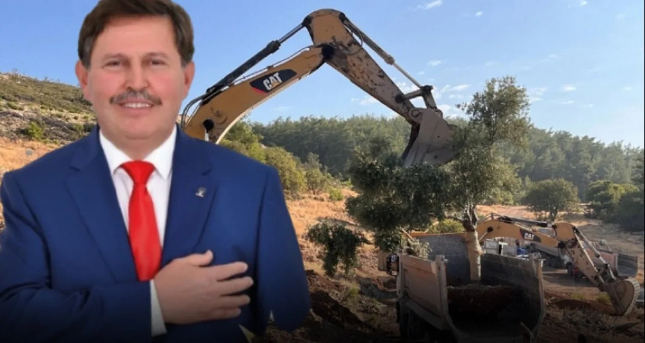 Akbelen Ormanı’nda Zeytin Ağaçlarına Saldırı!
