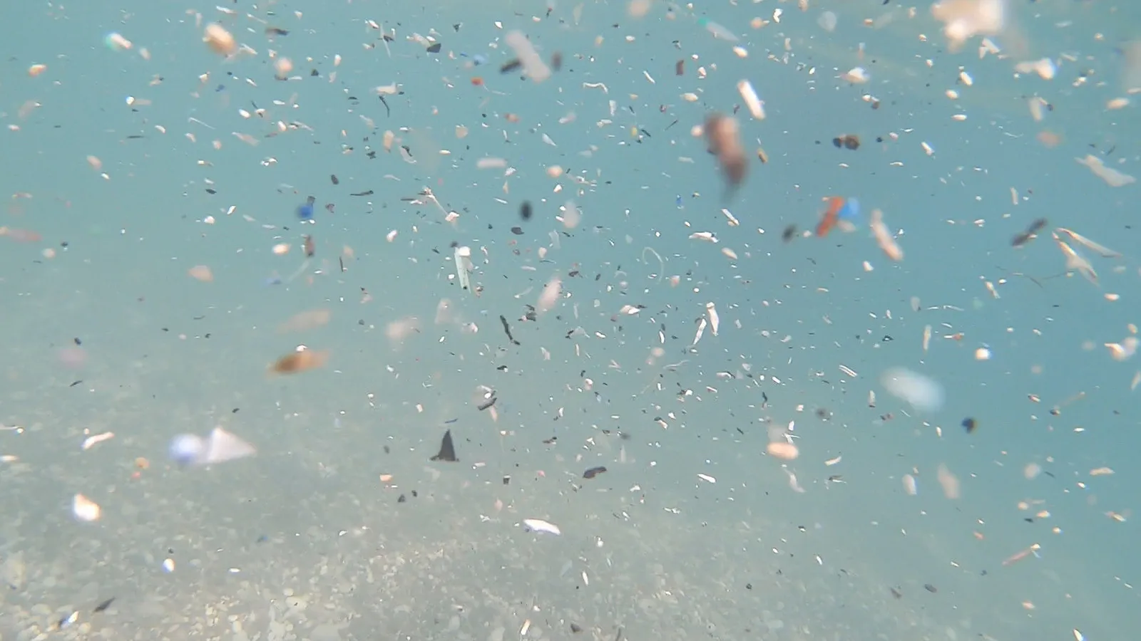 Akdeniz’de Mikroplastik Tehdidi: Canlılar Ölüm Tehlikesinde!