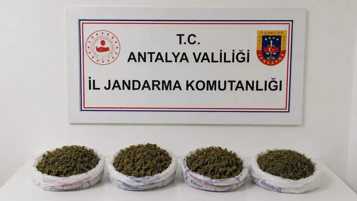 Alanya’da 979 Gram Uyuşturucu Ele Geçirildi!