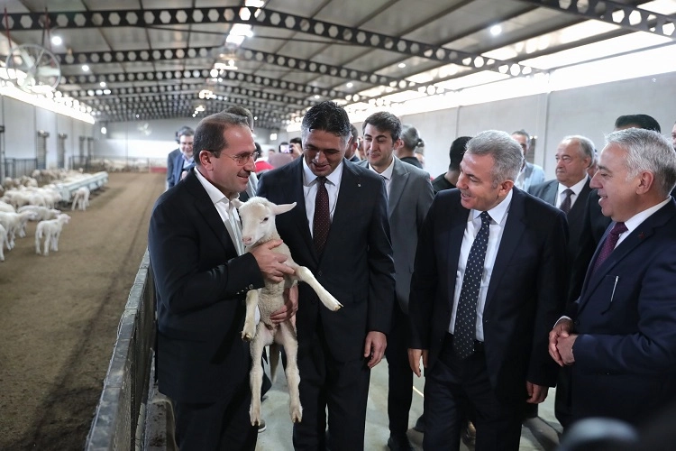 Aliağa’da Tarımsal Kalkınma İçin Hayvan Dağıtımı