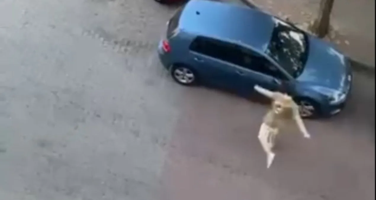 Alkollü Saldırgan Araçlara Zarar Verdi!