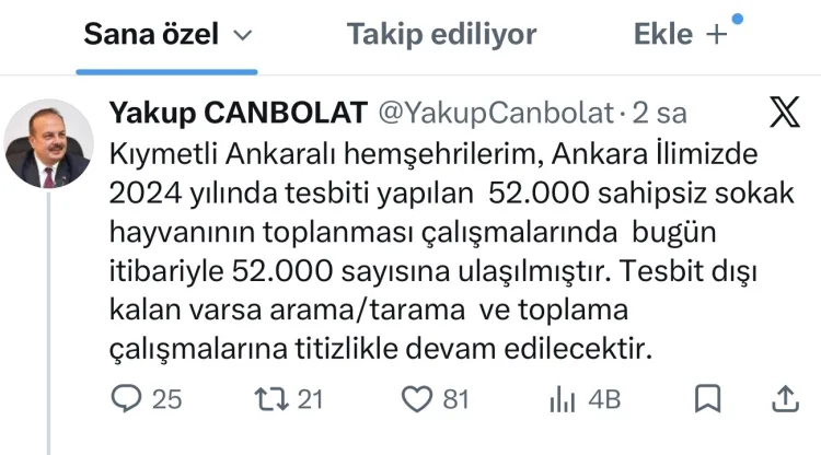 Ankara’da 52 Bin Sahipsiz Hayvan Toplandı!