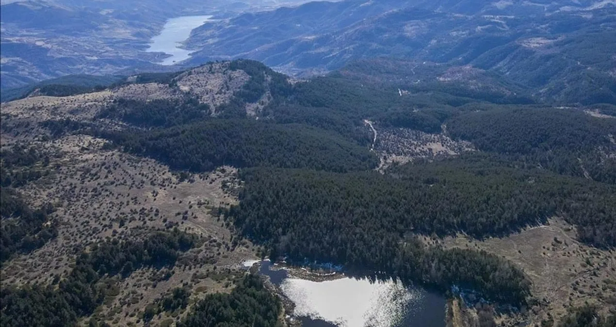Ankara’da Orman Yangın Riskine Karşı Önlem!