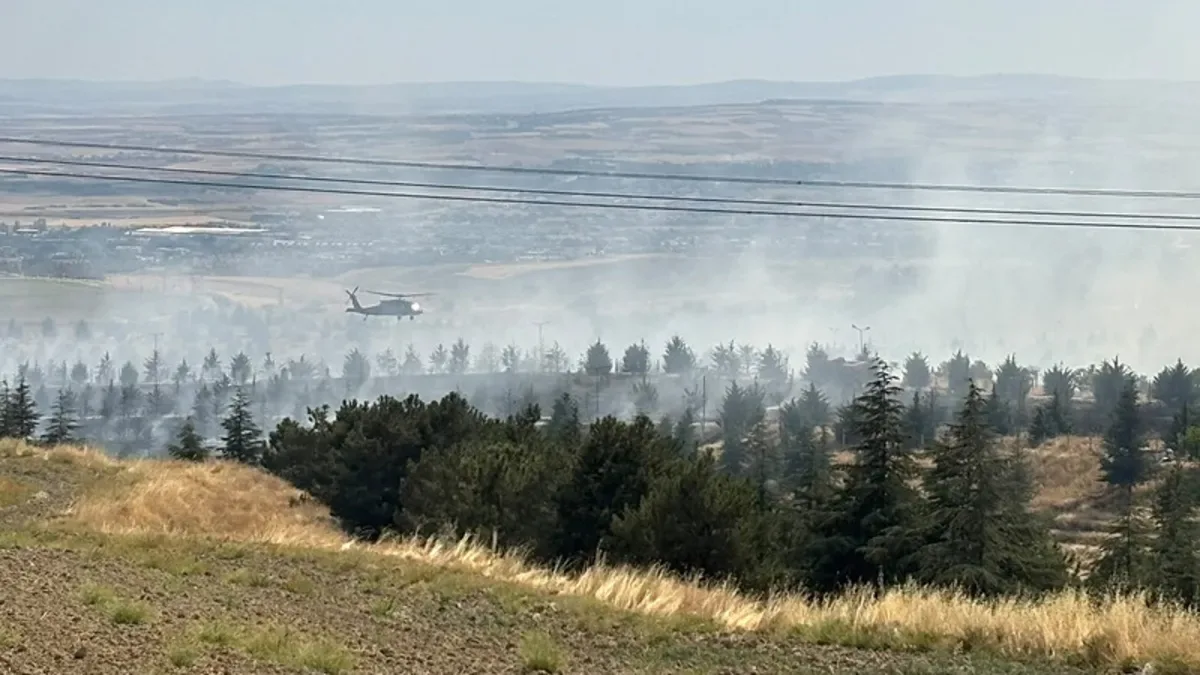Ankara’da Orman Yangını: Ekipler Seferber Oldu!