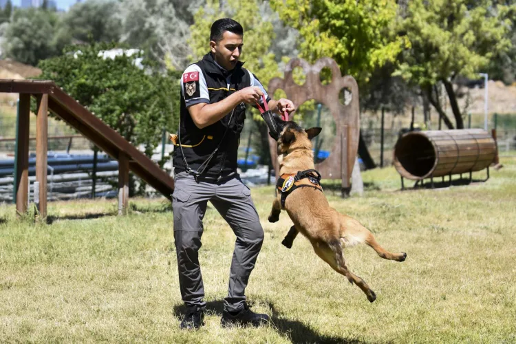 Ankara’nın Güvenliği K9 Ekipleriyle Sağlanıyor
