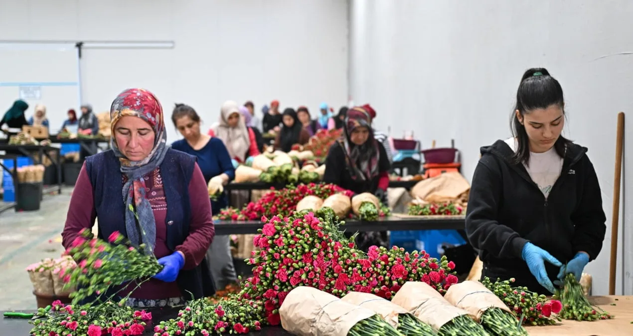 Anneler Günü İçin 30 Ülkeye Çiçek İhracatı Başladı