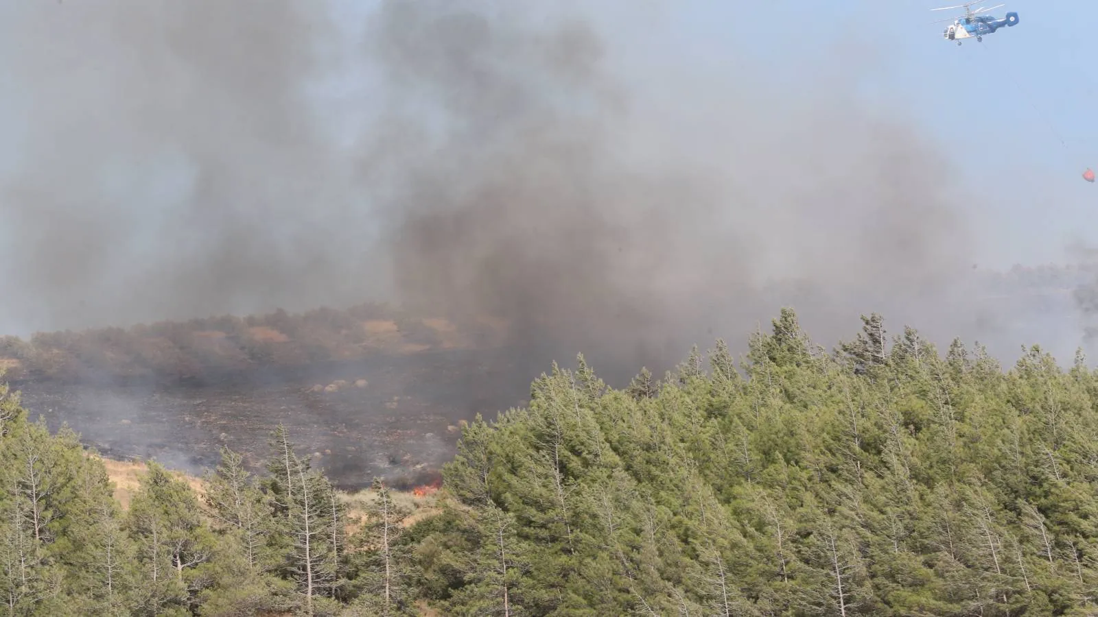 Antakya’da Orman Yangınına Hızla Müdahale Ediliyor