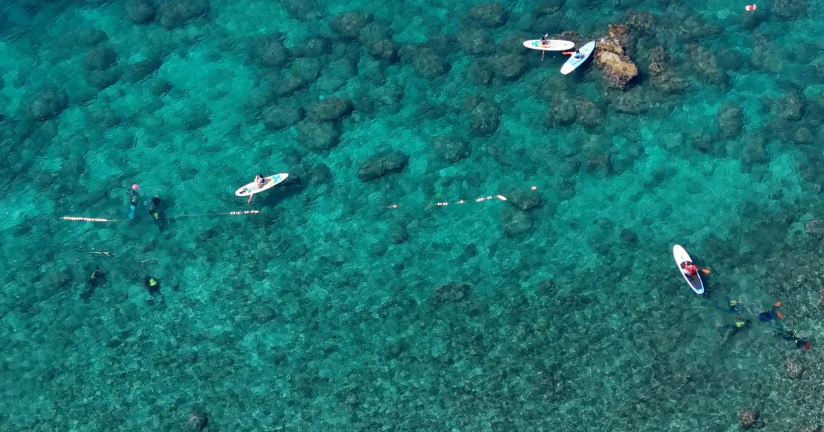 Antalya’da Deniz Dibi Temizliği ile Doğa Korundu
