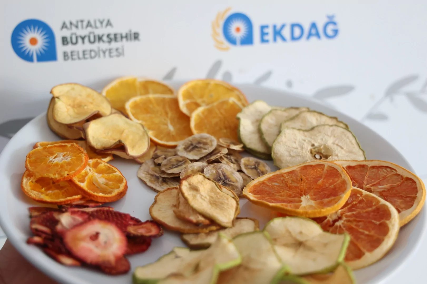 Antalya’da Güneş Enerjili Meyve-Sebze Tesisi Açıldı