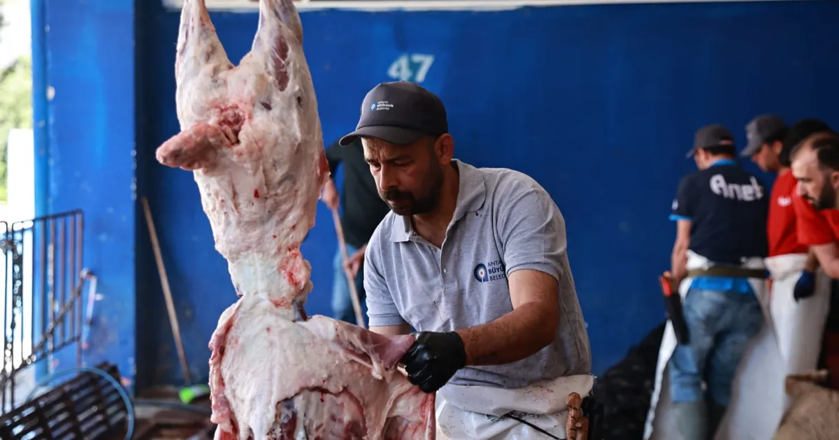 Antalya’da Hijyenik Ücretsiz Kurban Kesim Hizmeti