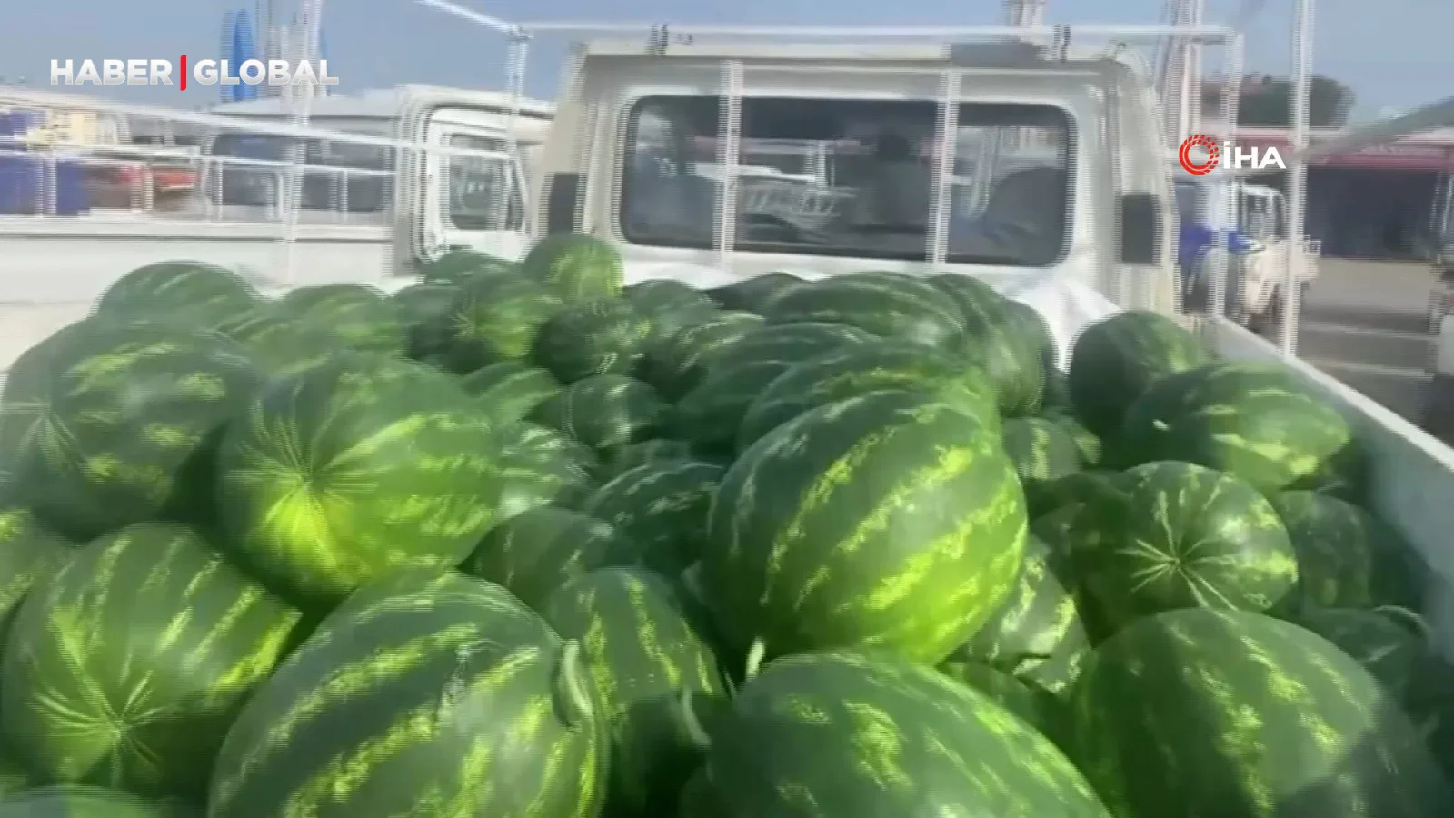 Antalya’da İlk Karpuz Hasadı: Yerli Üretime Destek!
