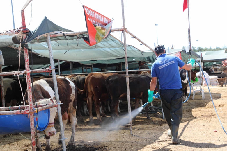 Antalya’da Kurban Bayramı’na Özel İlaçlama Önlemleri