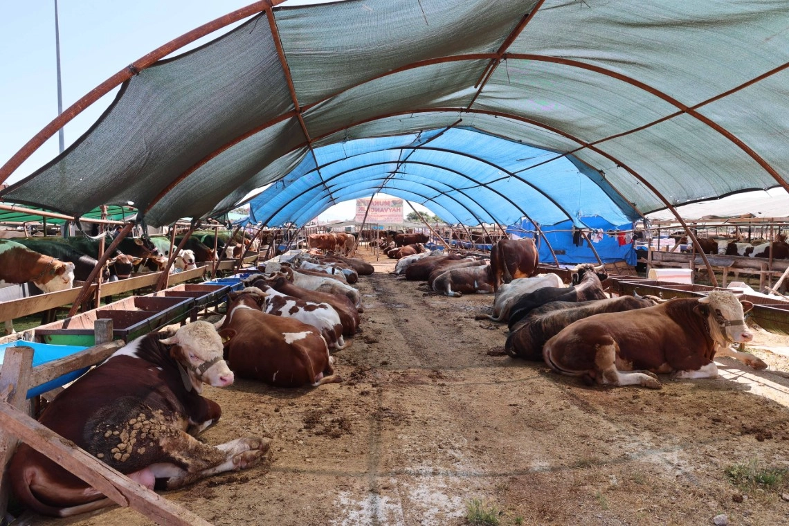 Antalya’da Kurban Satış Noktaları Ilaçlanıyor