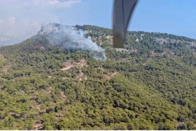 Antalya’da Orman Yangını: Müdahale Devam Ediyor!