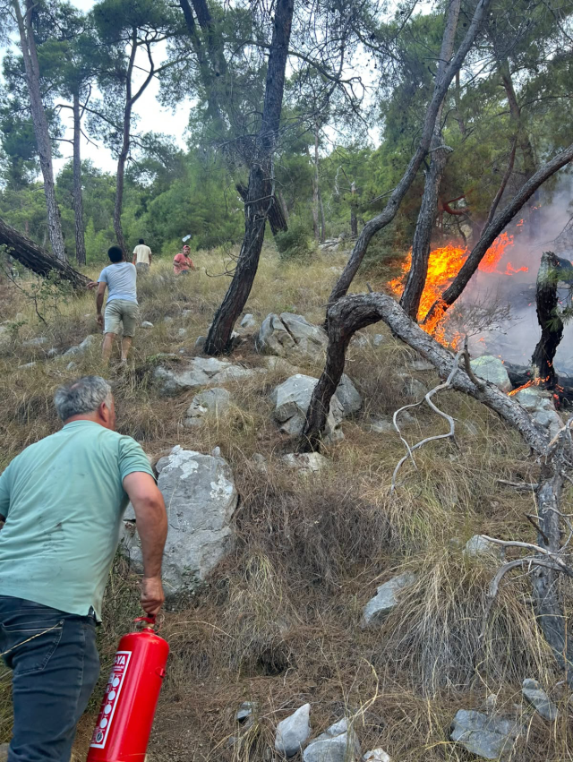 Antalya'da orman yangını müdahalesinde gönüllüler de devrede: Yangın tüpleri eşekle taşındı