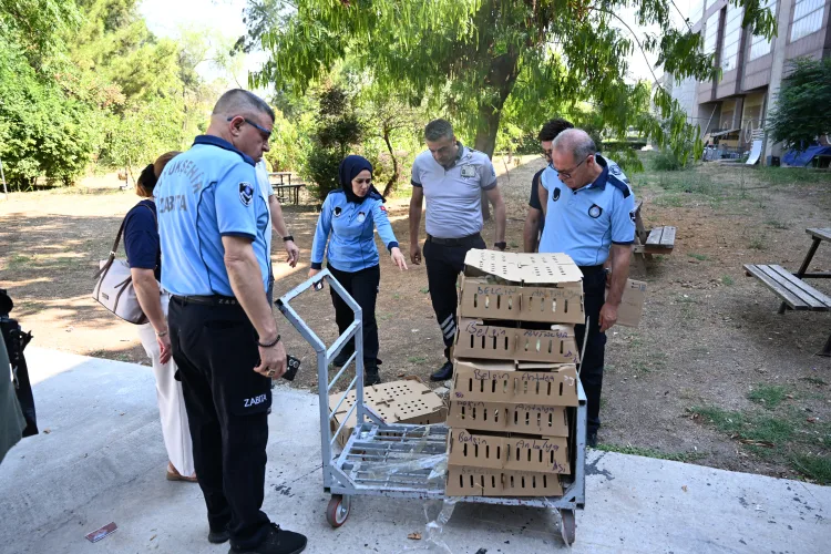 Antalya’da Usulsüz Civciv Taşımacılığına Operasyon!