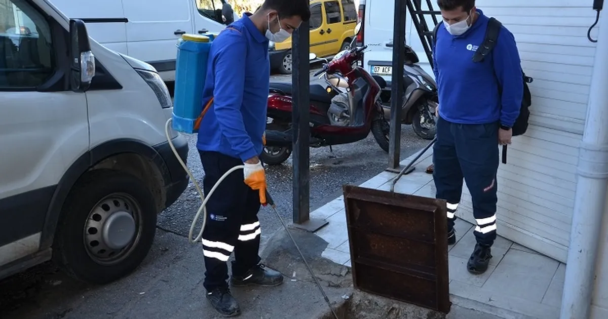 Antalya’da Vektörel Mücadele Devam Ediyor!