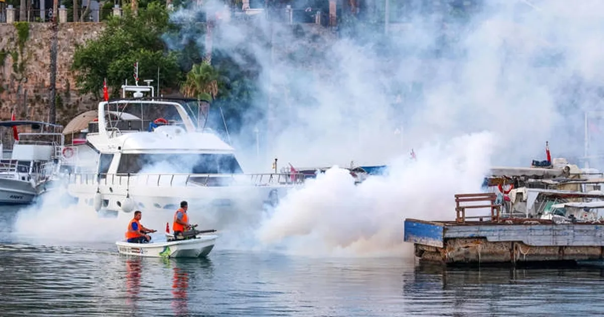 Antalya’da Vektörle Mücadele Tüm Hızıyla Devam Ediyor