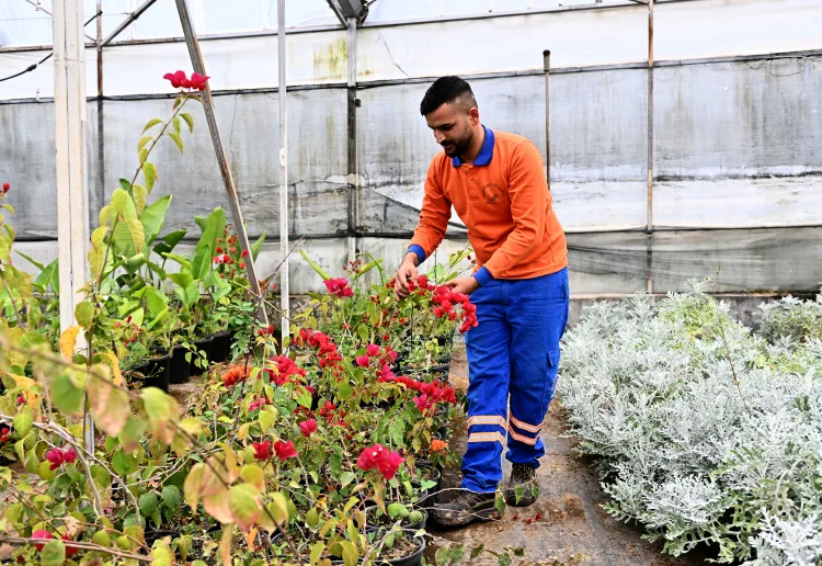 Antalya’da Yerel Üretimle Yeşil Alan Atağı