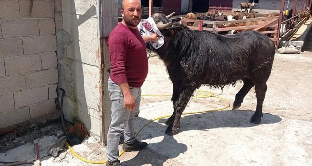 Arazi Kavgasında Silahlı Çatışma: Bir Ölü!