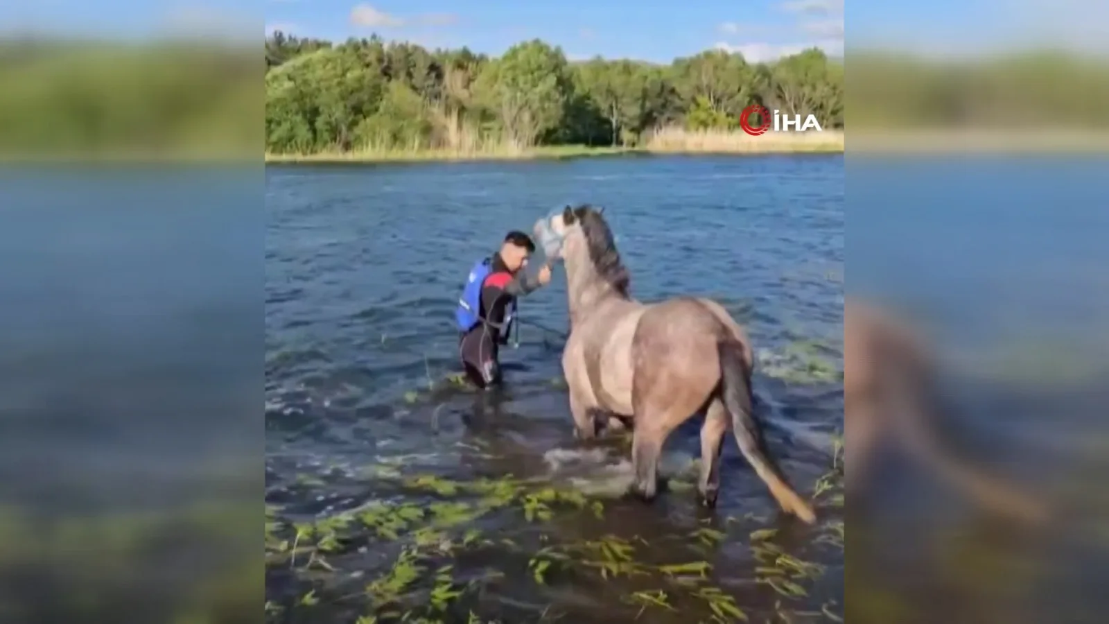 Ardahan’da Mahsur Kalan At Kurtarıldı!